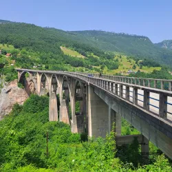 Tara Bridge (Đurđevića Tara) - Zabljak