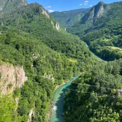 Tara Bridge (Đurđevića Tara) - Zabljak