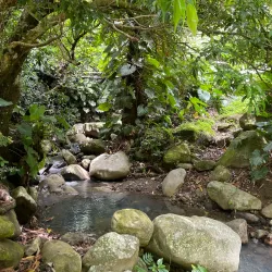 Hiking Trails around Brades - Brades