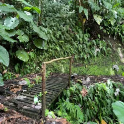 Hiking Trails around Brades - Brades