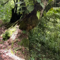 Hiking Trails around Brades - Brades