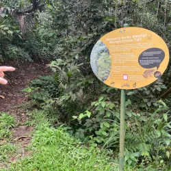 Hiking Trails around Brades - Brades