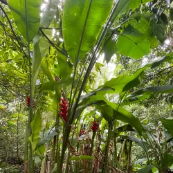 Hiking Trails around Brades - Brades