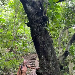 Hiking Trails around Brades - Brades