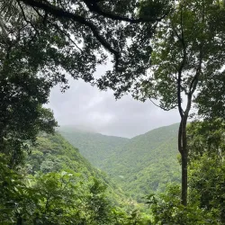 Hiking Trails around Brades - Brades