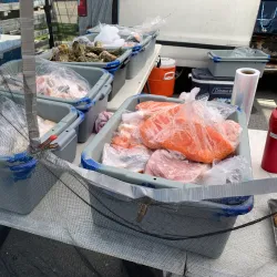 Local Markets in Brades - Brades