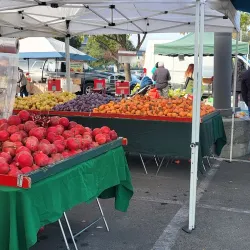 Local Markets in Brades - Brades