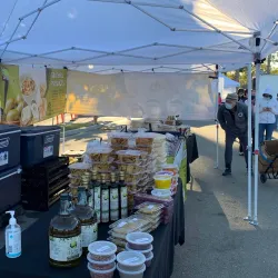 Local Markets in Brades - Brades