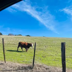Lookout Rock - Brades