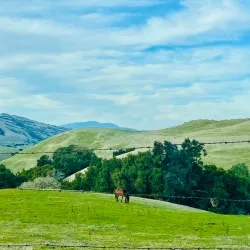 Lookout Rock - Brades