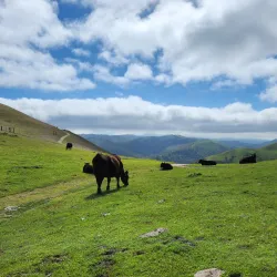Lookout Rock - Brades