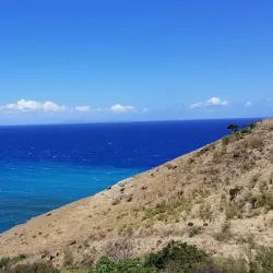 Montserrat Botanical Gardens - Brades