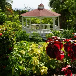 Montserrat Botanical Gardens - Brades