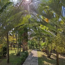 Montserrat National Trust - Brades