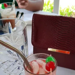 Olveston House - Brades