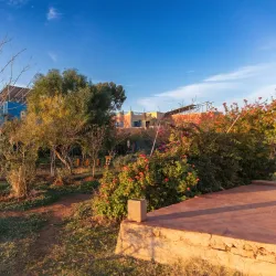 Agricultural Tours - Ain Taoujdate