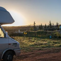 Agricultural Tours - Ain Taoujdate