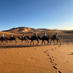 Day Trip to Fes - Ain Taoujdate