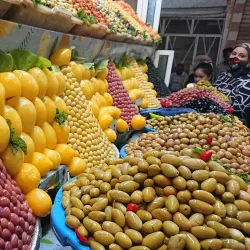 Day Trip to Meknes - Ain Taoujdate