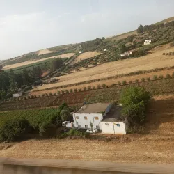 Local Markets (Souks) - Ain Taoujdate