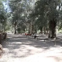 Nearby Natural Landscapes - Ain Taoujdate