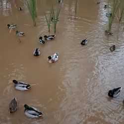 Nearby Natural Landscapes - Ain Taoujdate