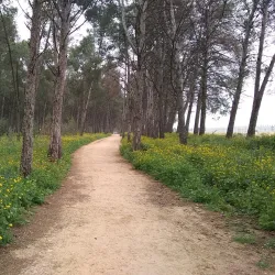 Nearby Natural Landscapes - Ain Taoujdate