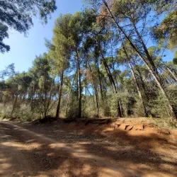 Nearby Natural Landscapes - Ain Taoujdate