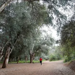 Nearby Natural Landscapes - Ain Taoujdate