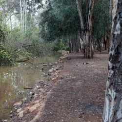 Nearby Natural Landscapes - Ain Taoujdate