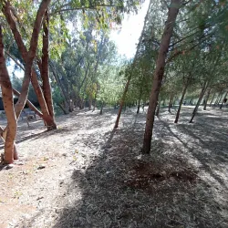 Nearby Natural Landscapes - Ain Taoujdate