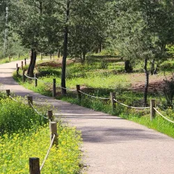 Nearby Natural Landscapes - Ain Taoujdate