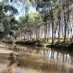 Nearby Natural Landscapes - Ain Taoujdate