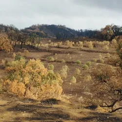 Nearby Natural Parks - Ain Taoujdate