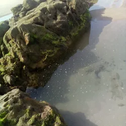 Asilah Beach - Asilah (Assilah)