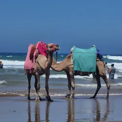 Asilah Beach - Asilah (Assilah)