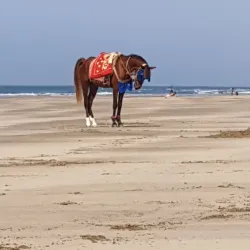 Asilah Beach - Asilah (Assilah)
