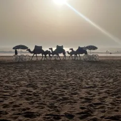 Paradise Beach (Plage Paradise) - Asilah (Assilah)