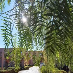 Photo of a scenic view in Ben Guerir