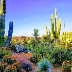 Nearby Natural Landscapes - Ben Guerir