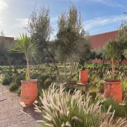 Public Parks and Gardens - Ben Guerir