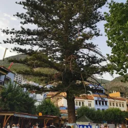 Grand Mosque of Chefchaouen - Chefchaouen