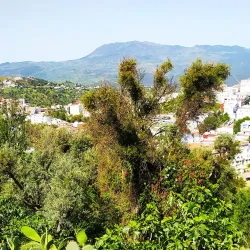 Ras El Maa Waterfall - Chefchaouen