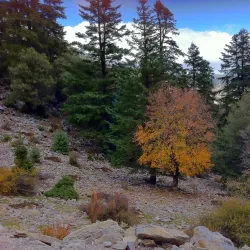 Talassemtane National Park - Chefchaouen