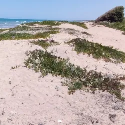 El Jadida Beach - El Jadida