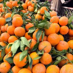 El Jadida Market (Souk) - El Jadida