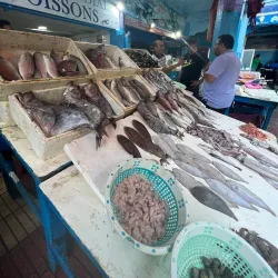 El Jadida Market (Souk) - El Jadida
