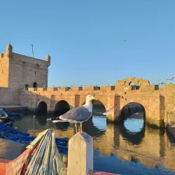 Port of Essaouira - Essaouira
