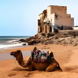 Sidi Kaouki Beach - Essaouira