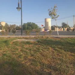 Guercif Mosque - Guercif